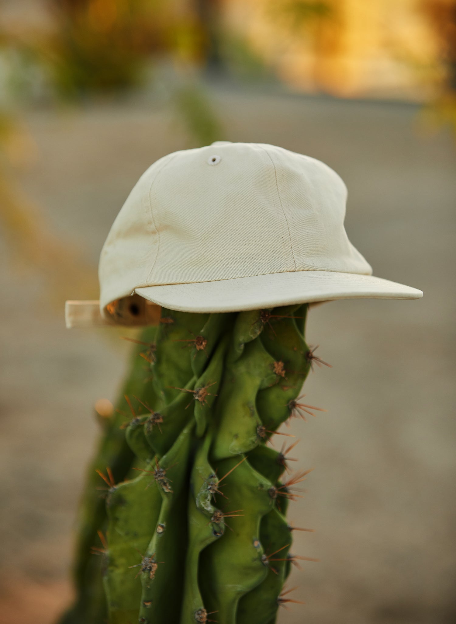 Brushed Cotton Field Trip Hat (+9 colors)